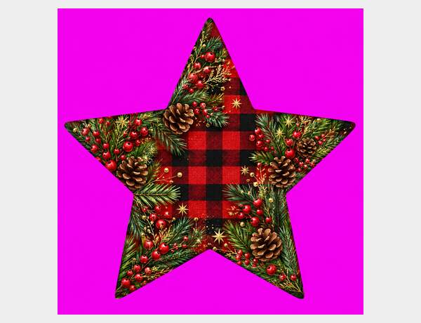 Rustic Buffalo Plaid Christmas Star by Press Rex